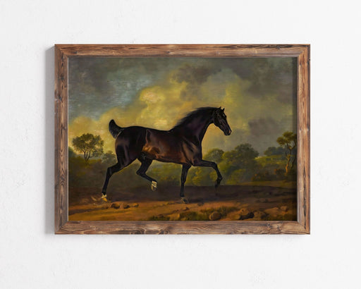 Vintage Black Horse Print, Vintage Landscape Print, Landscape Art Print, Vintage Farmhouse Art Print, Printed Landscape Print,Unframed DC105 - Gocutouts